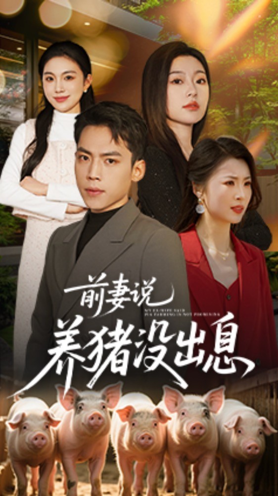 前妻说养猪没出息海报