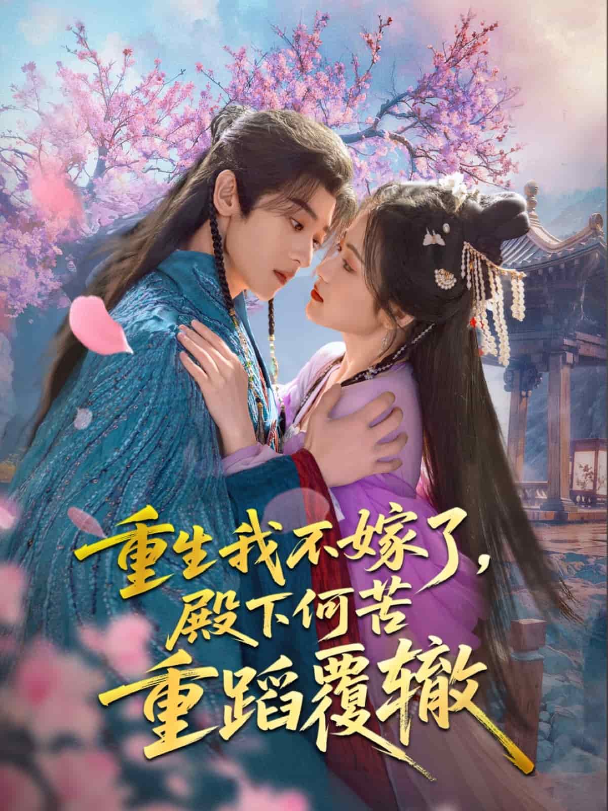 重生我不嫁了，殿下何苦重蹈覆辙海报