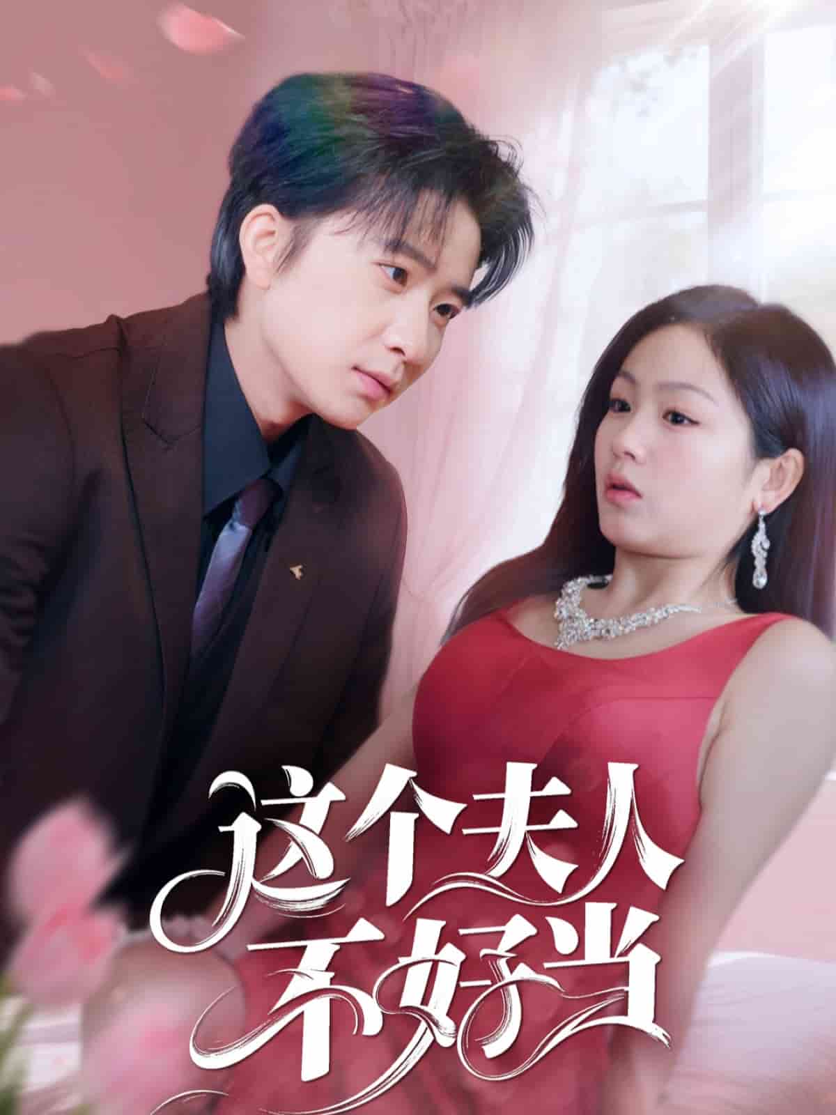 这个夫人不好当海报