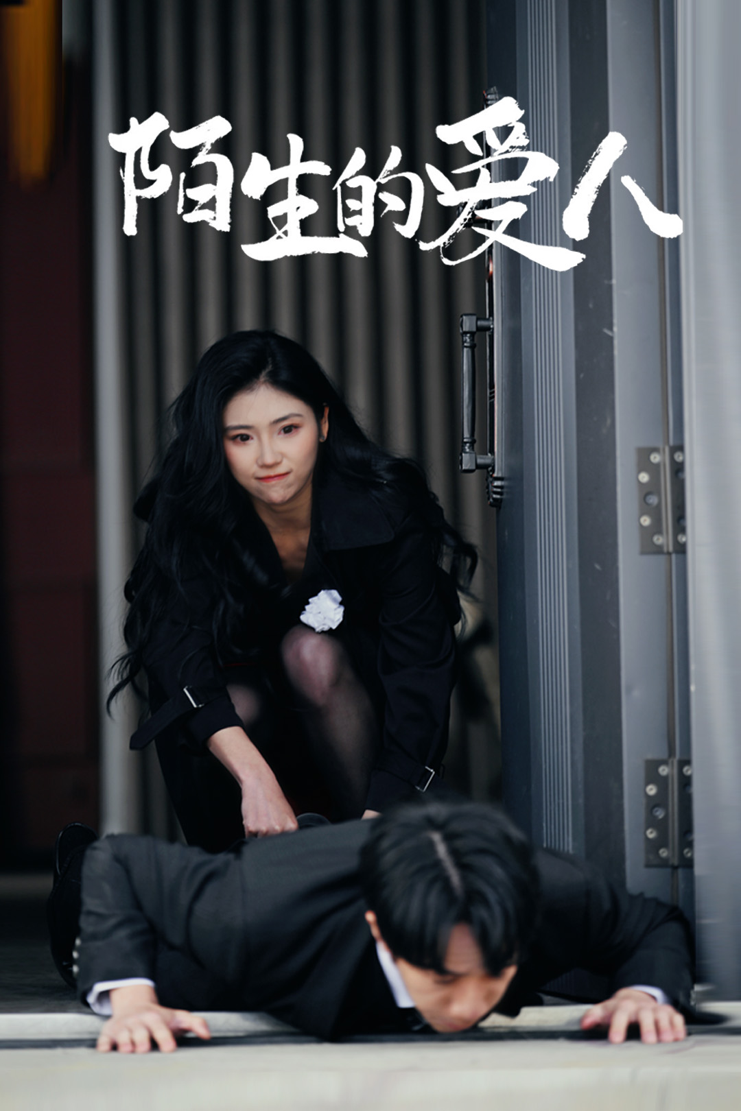 陌生的爱人海报