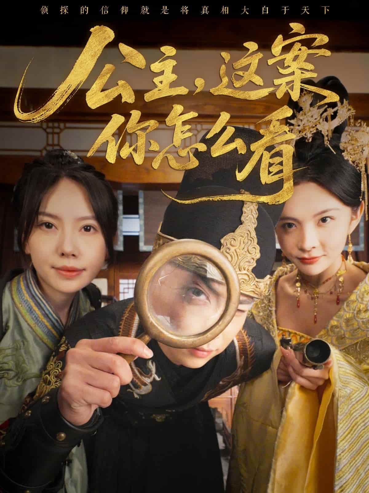 公主，这案你怎么看海报