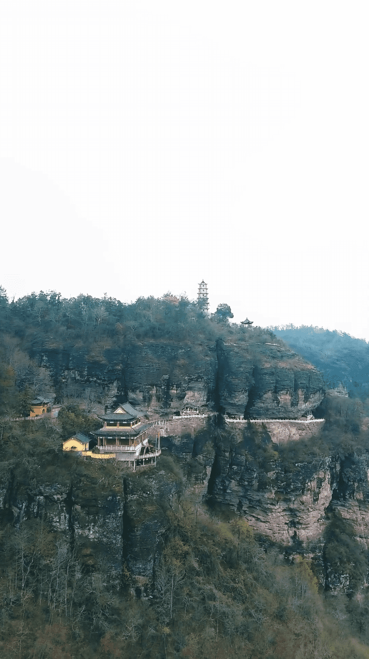 功夫萌宝神算爹海报