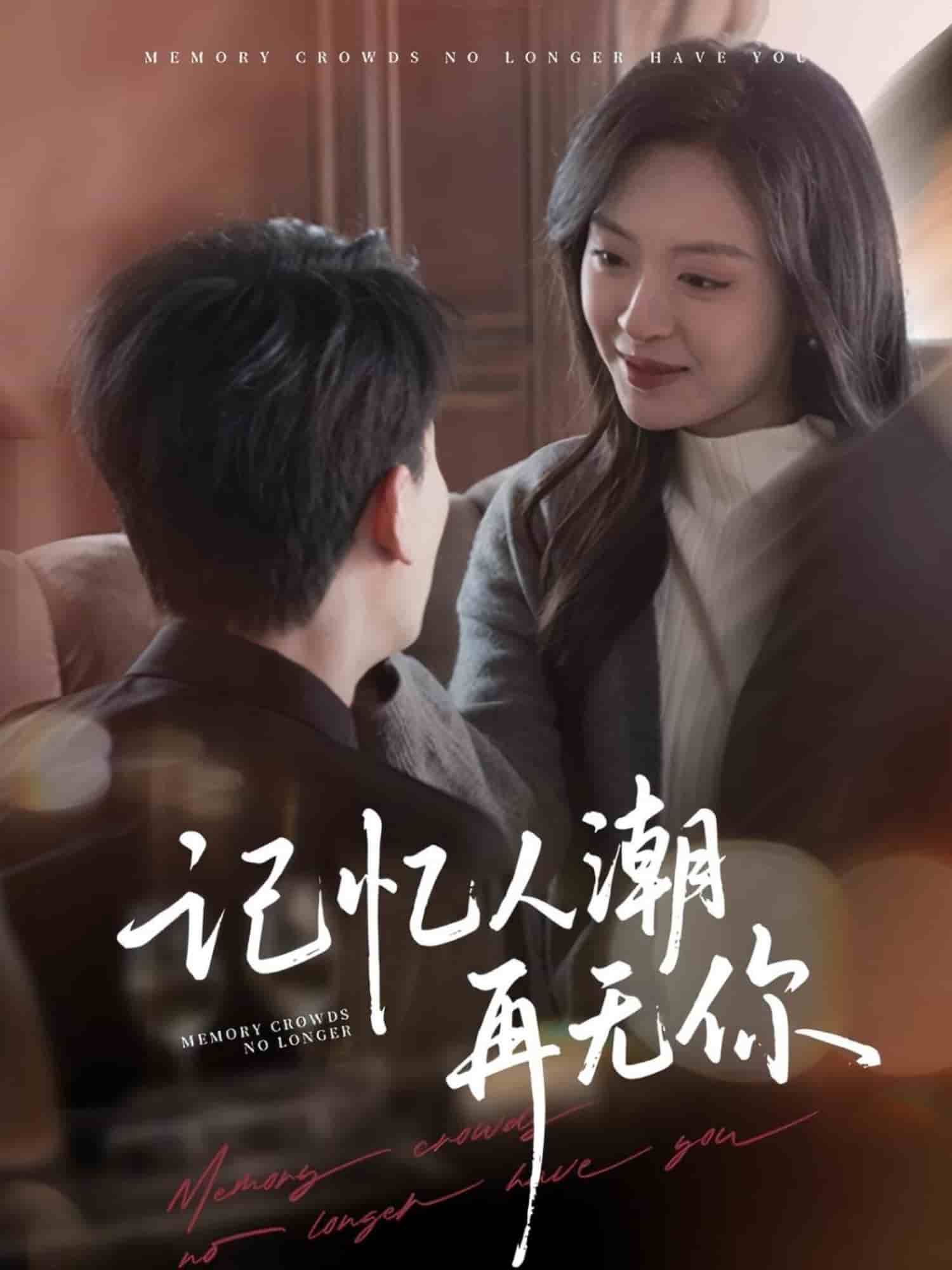 记忆人潮再无你海报