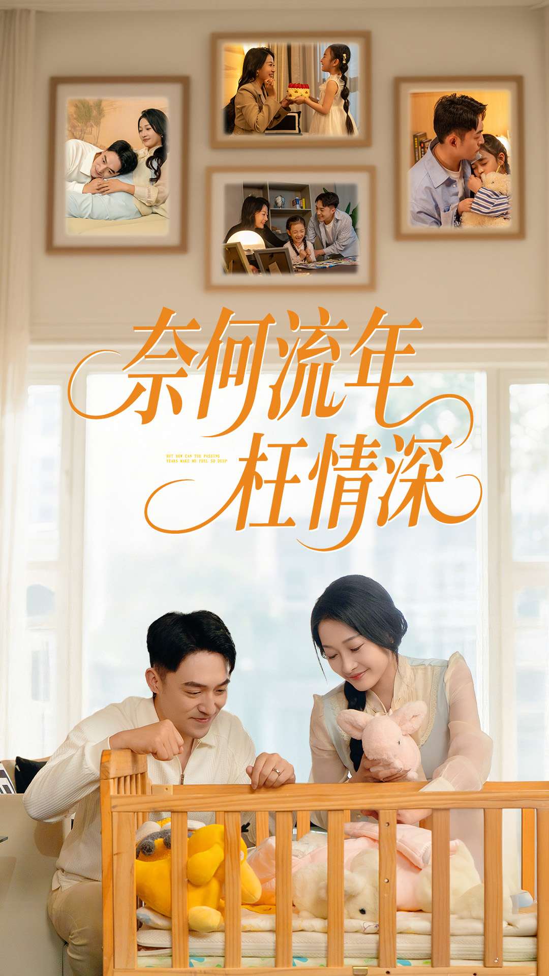 奈何流年枉情深海报