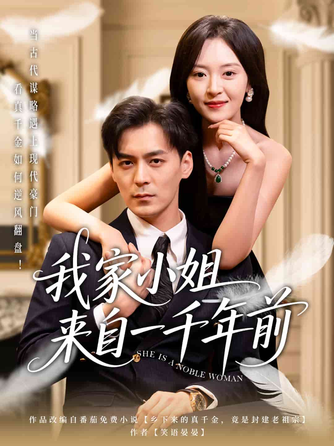 我家小姐来自一千年前海报