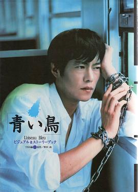 青鸟1997海报