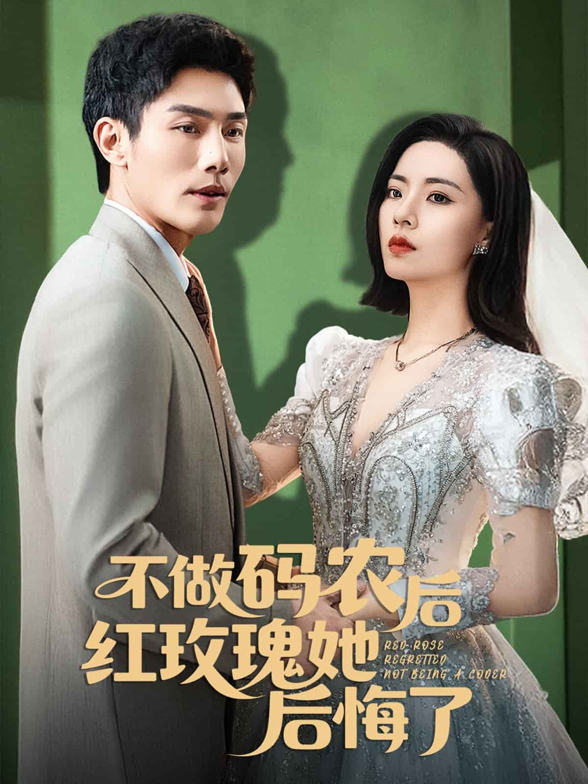 不做码农后红玫瑰她后悔了海报