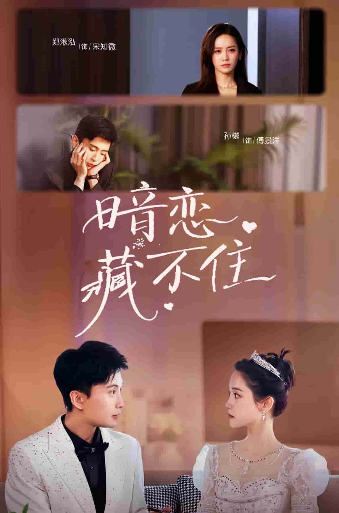 暗恋藏不住海报