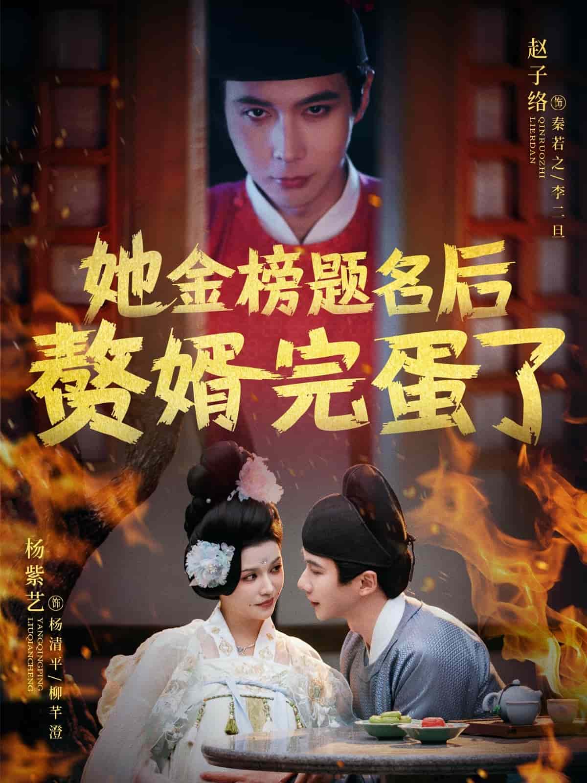 她金榜题名后赘婿完蛋了海报