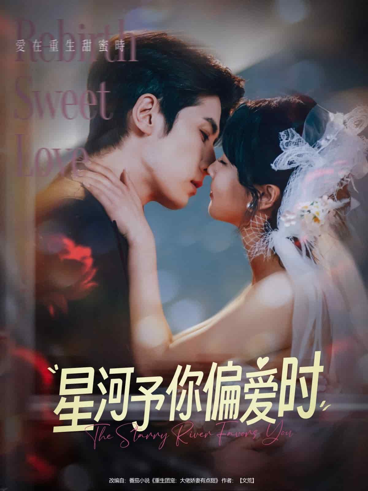 星河予你偏爱时海报