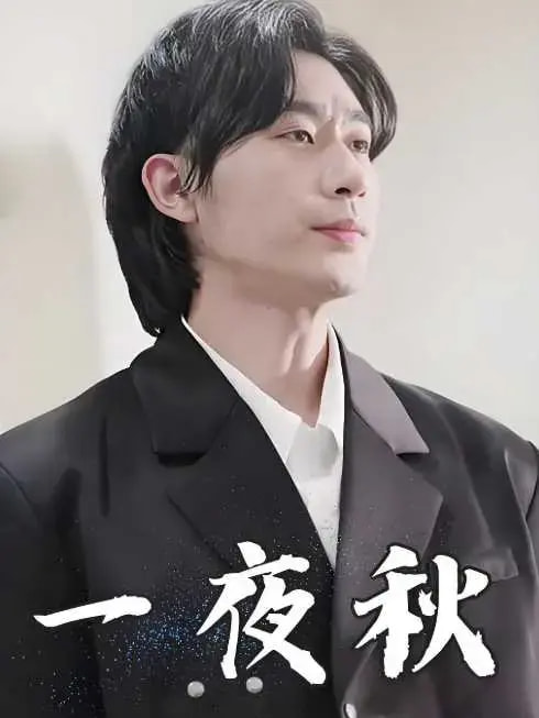 陆少宠妻如命海报