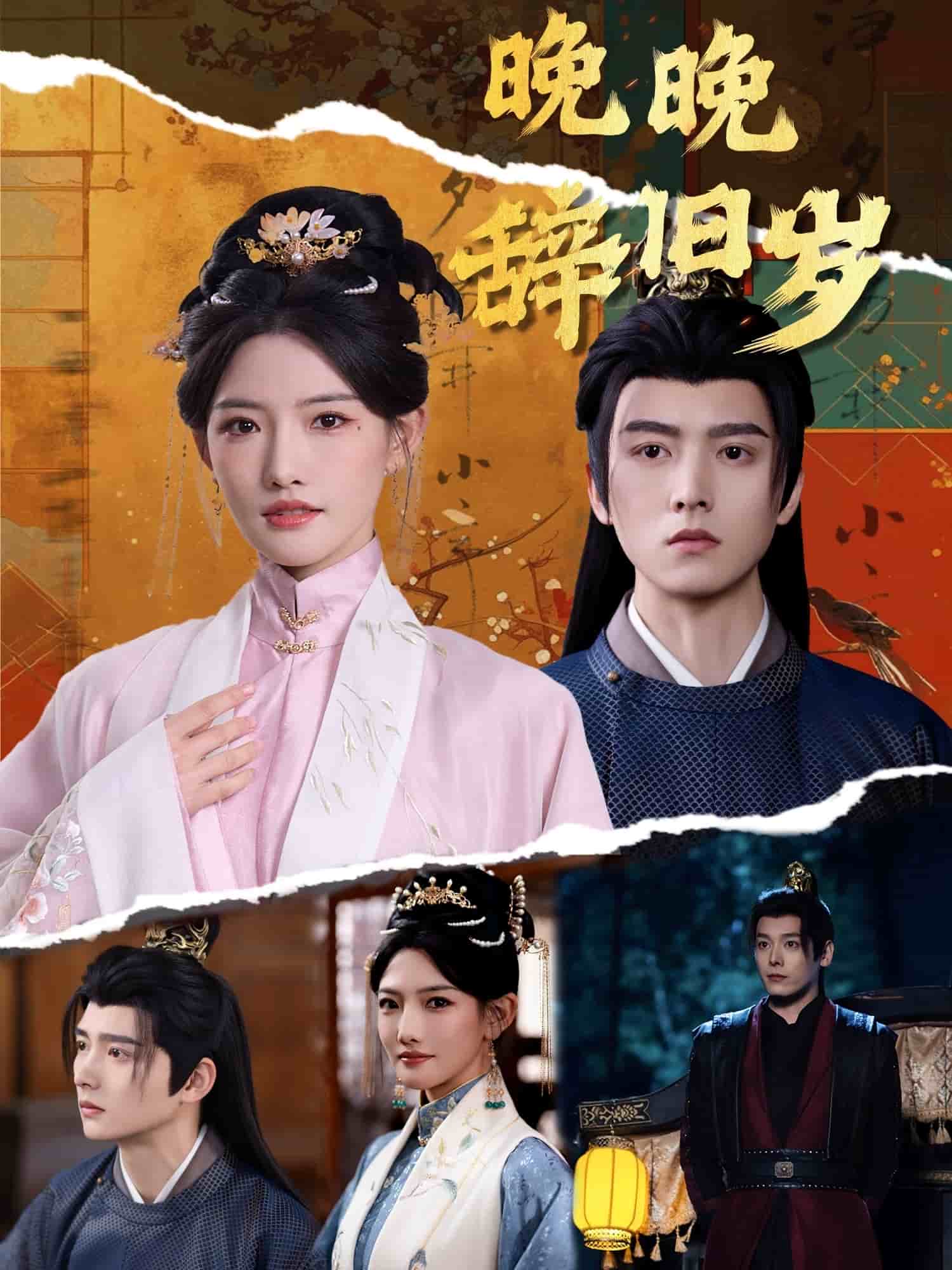 晚晚辞旧岁海报