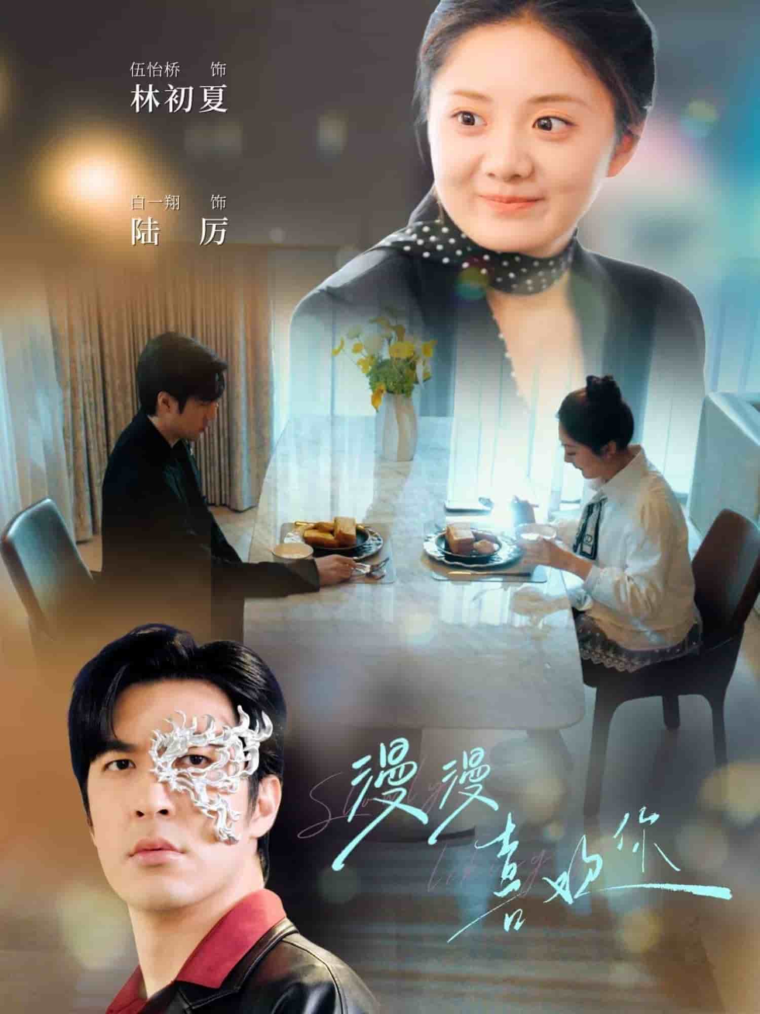 漫漫喜欢你海报