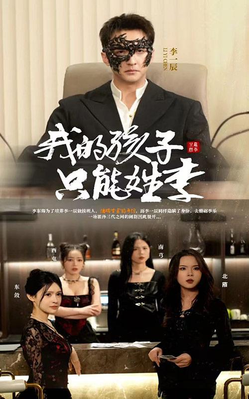 我的孩子只能姓李海报