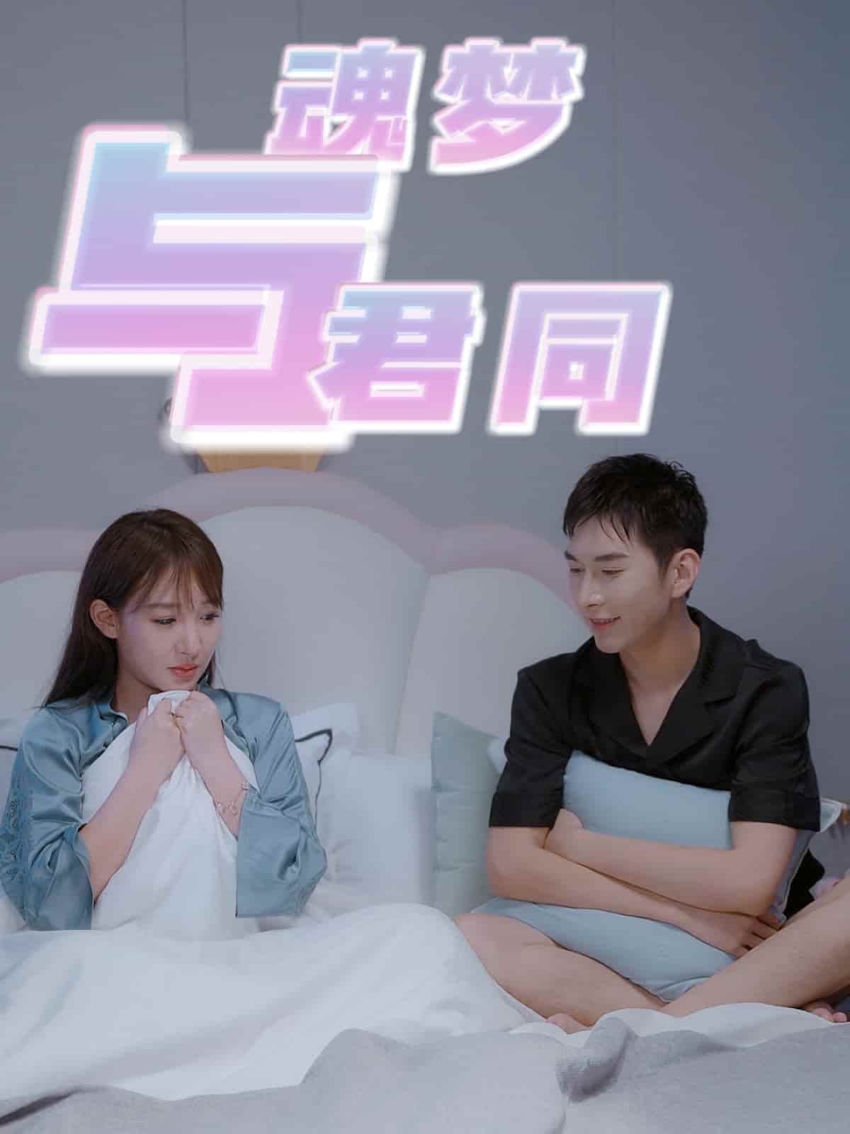 魂梦与君同海报