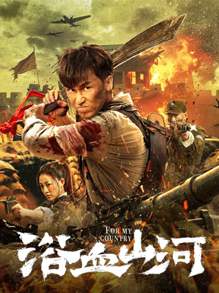 浴血山河海报