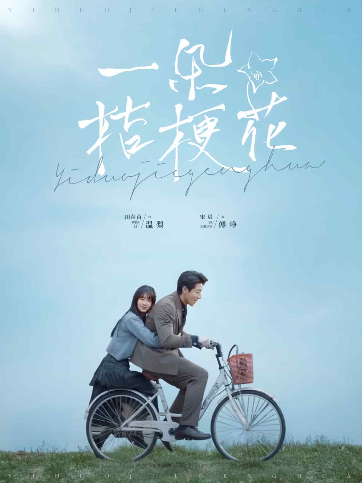 一朵桔梗花海报