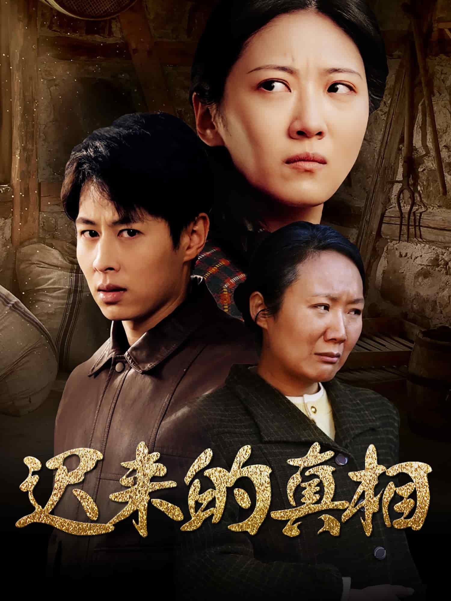 迟来的真相海报