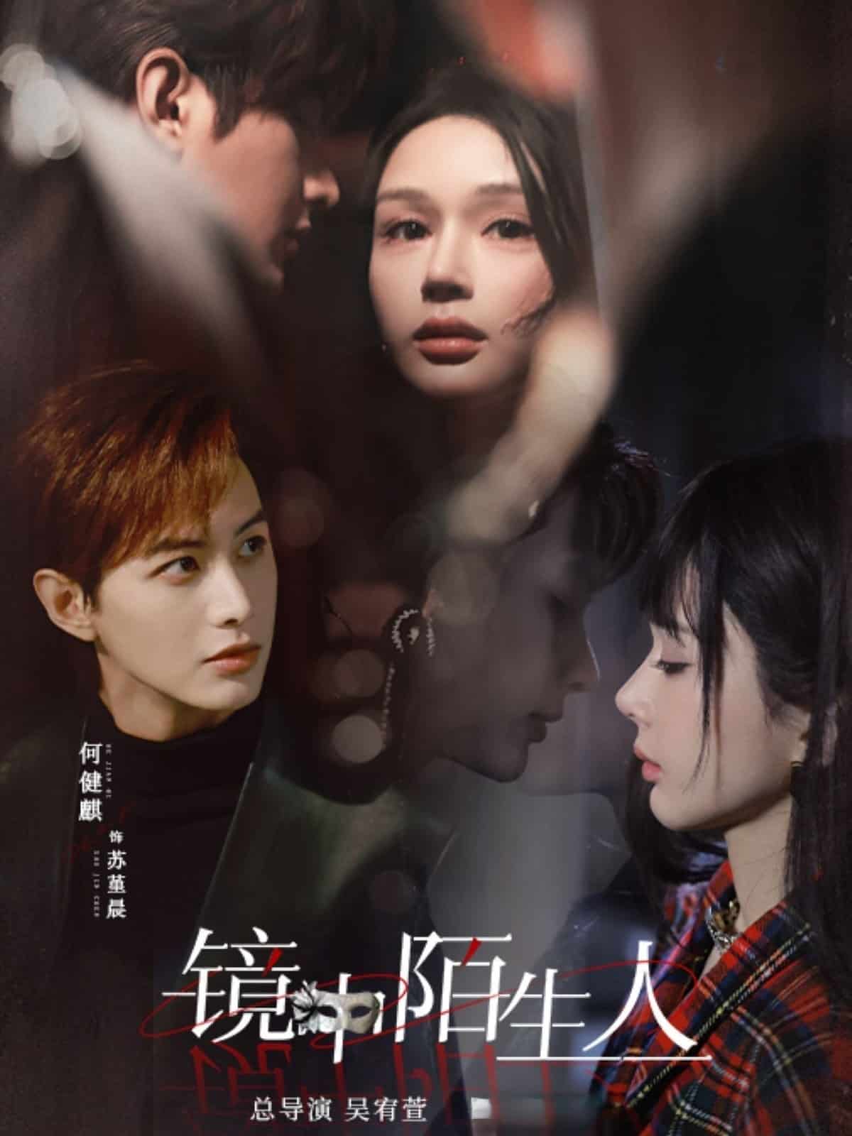 镜中陌生人海报