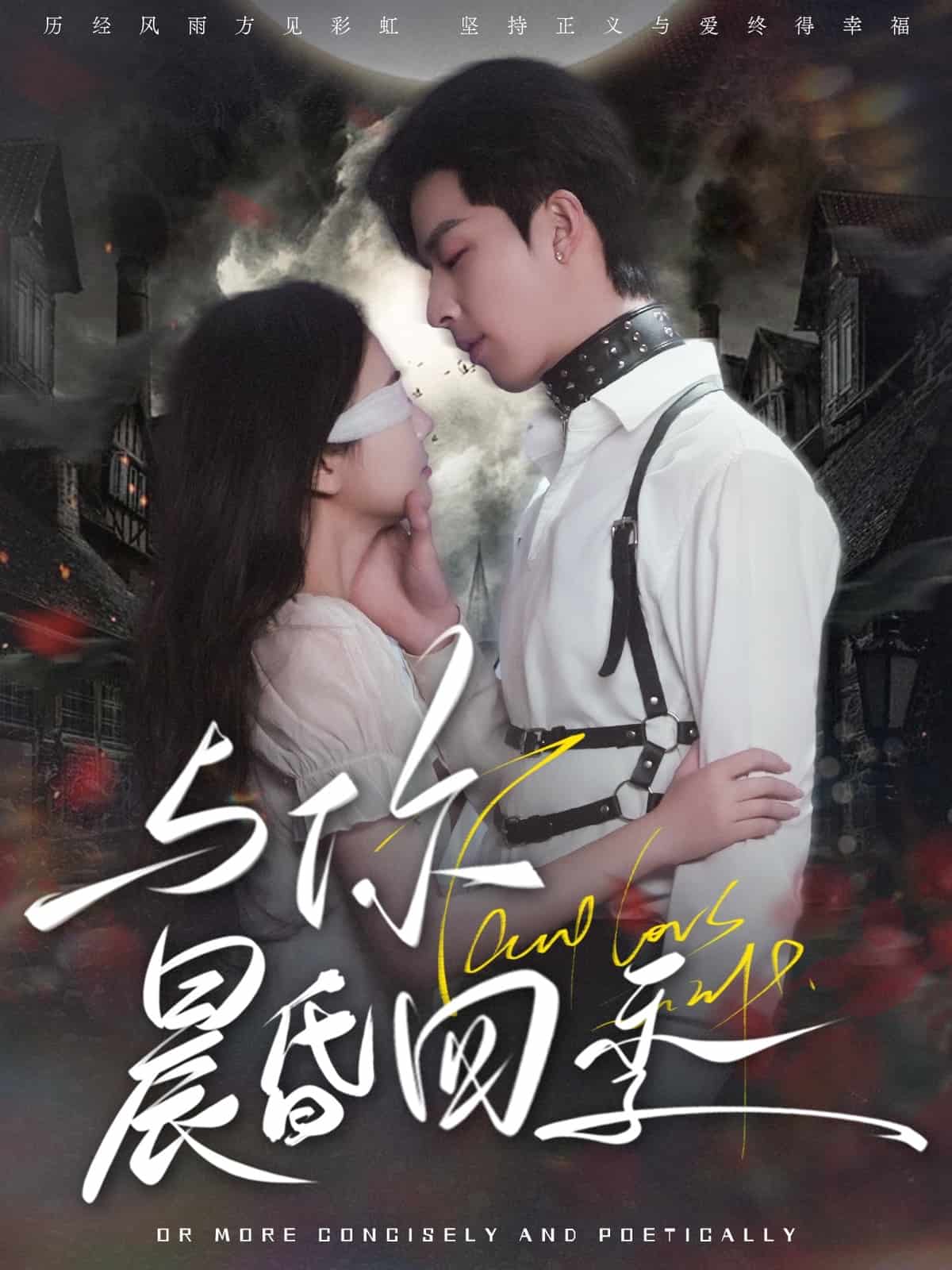 与你晨昏四季海报