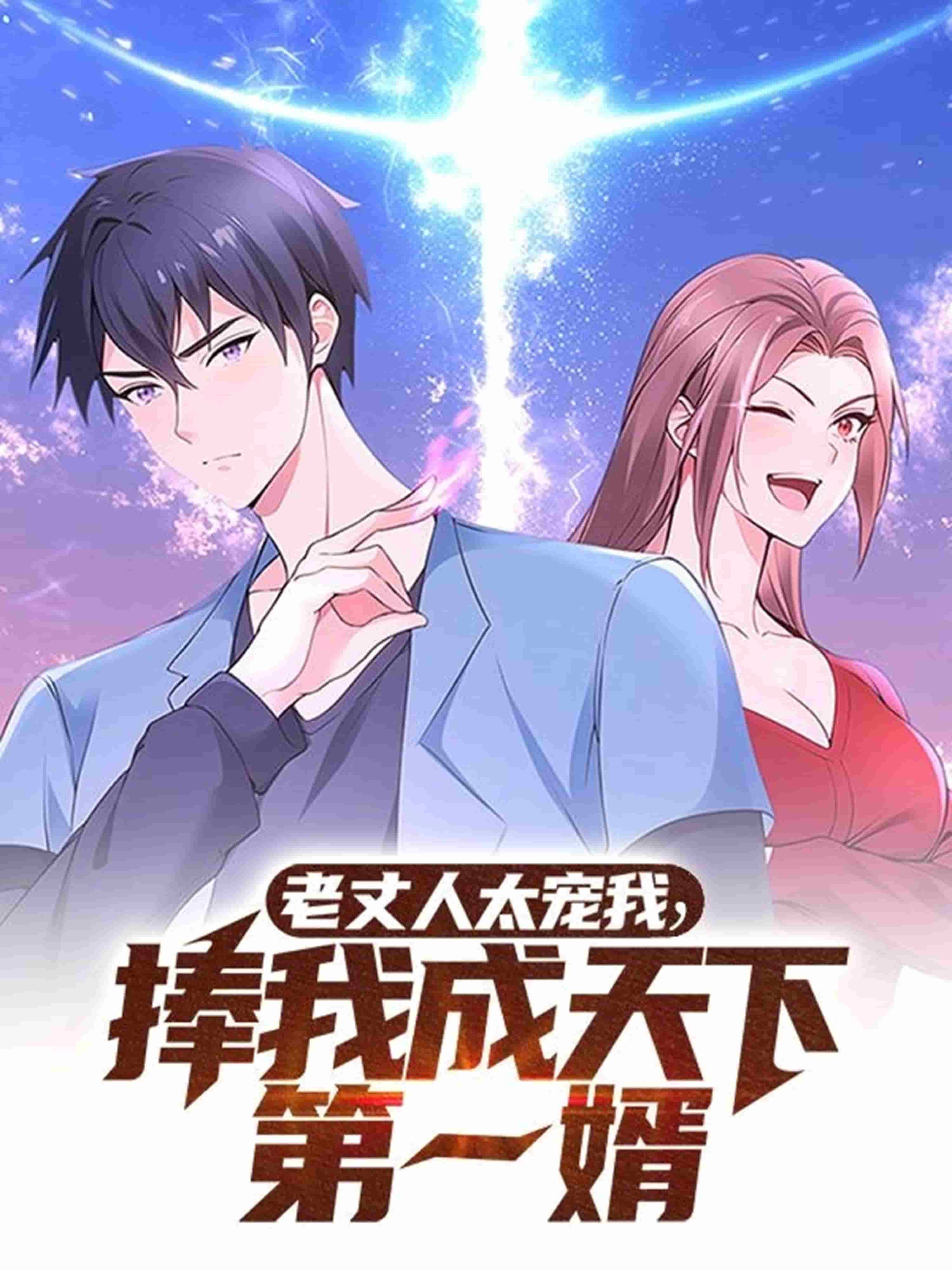 老丈人太宠我捧我成天下第一婿海报