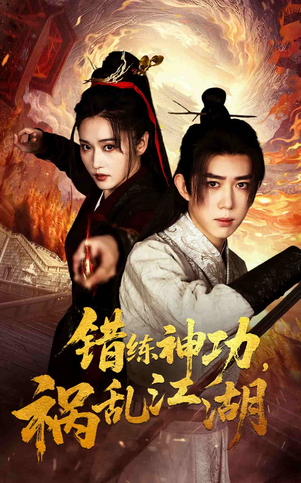 错练神功祸乱江湖海报