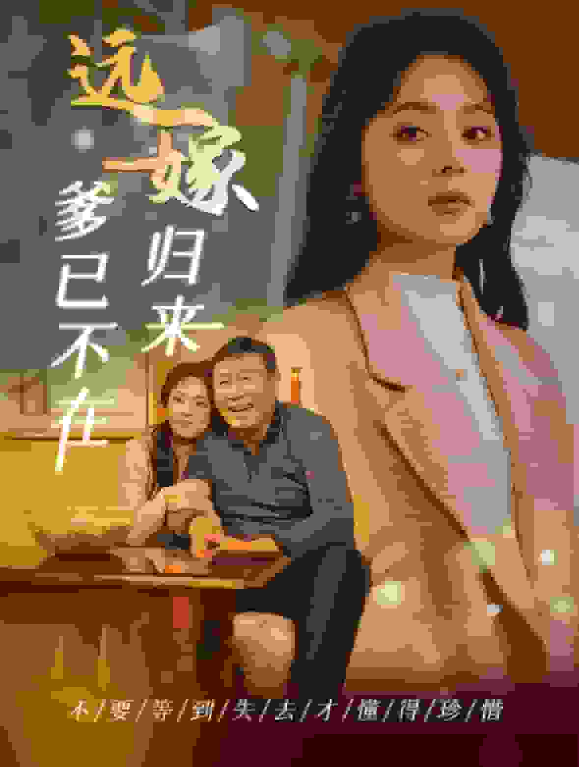 远嫁归来爹已不在海报