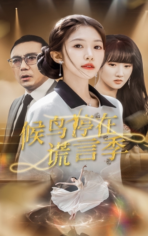 候鸟停在谎言季海报