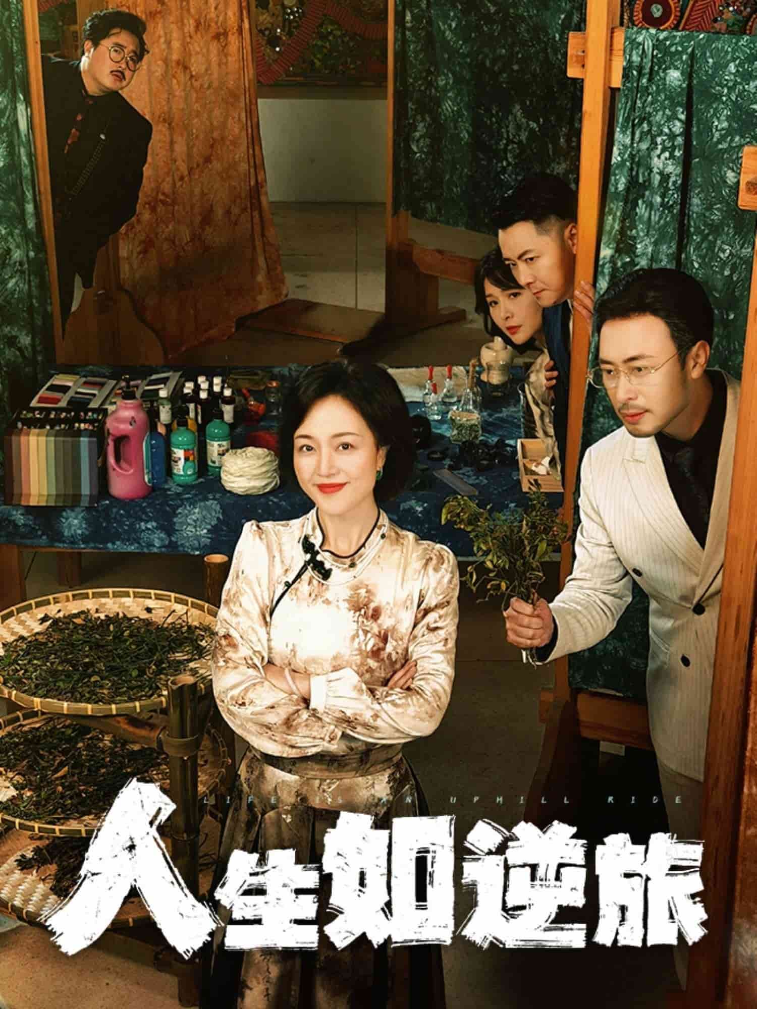 人生如逆旅海报