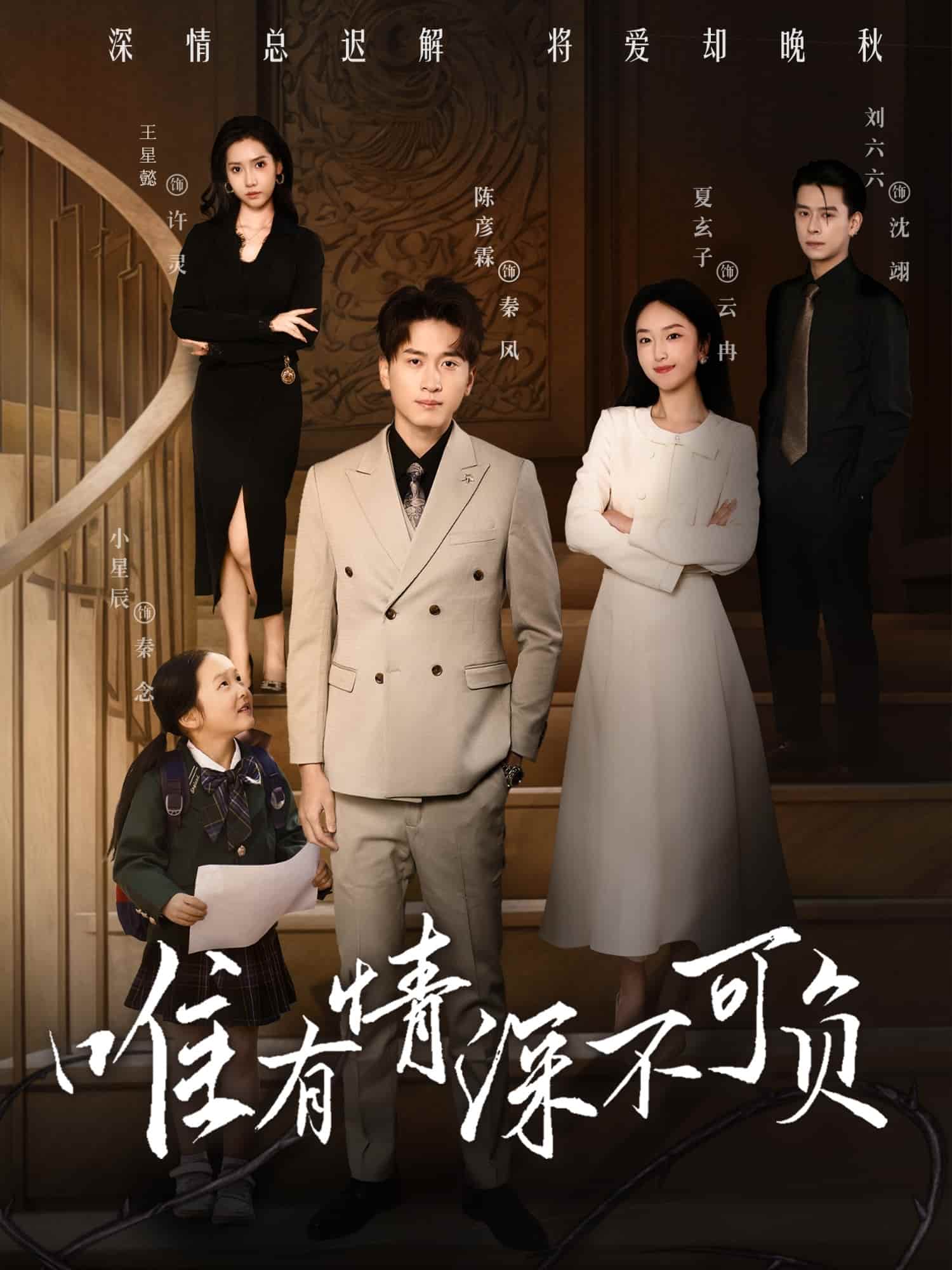 唯有深情不可负海报