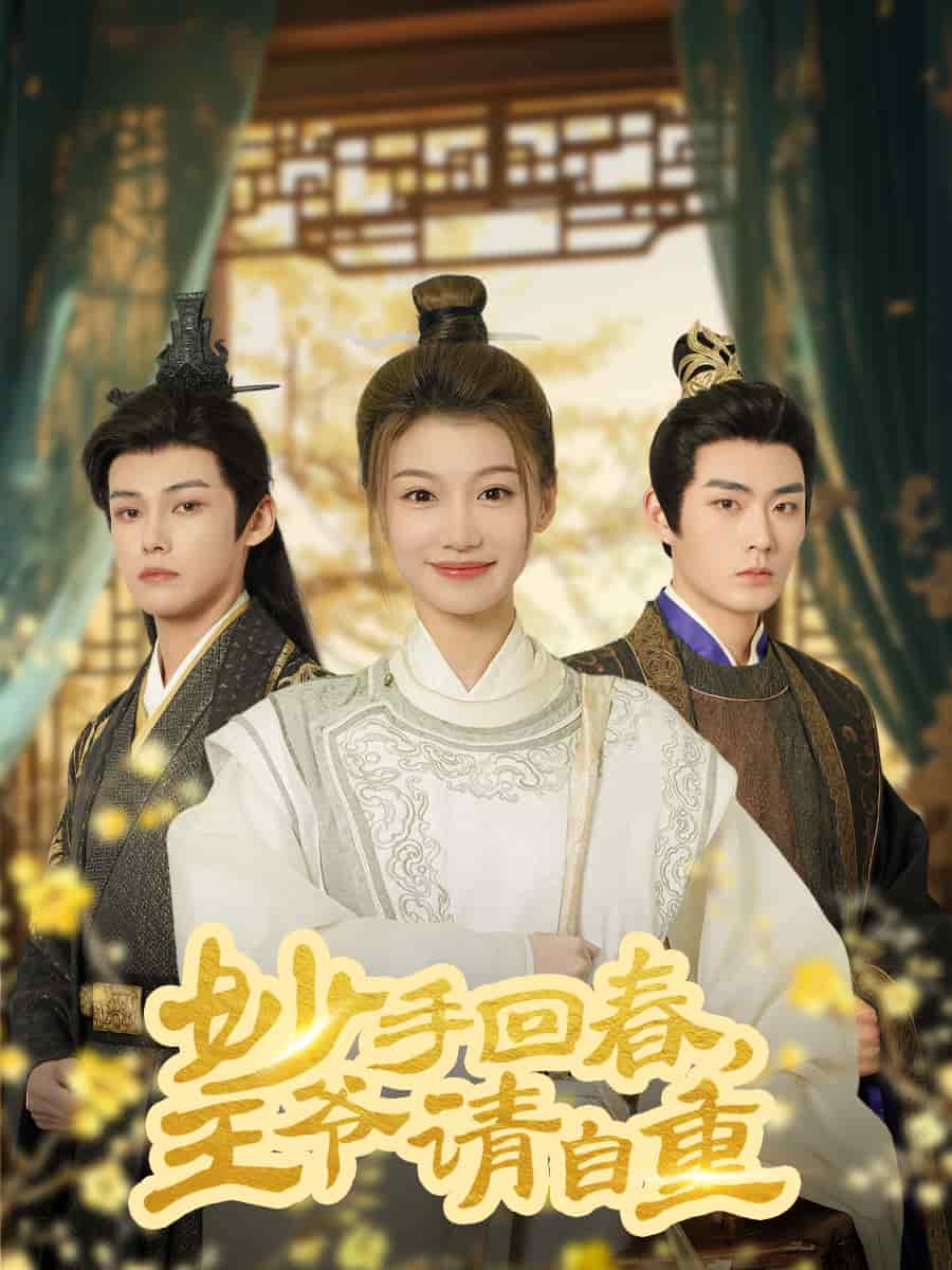 杏林误入凤雀台海报