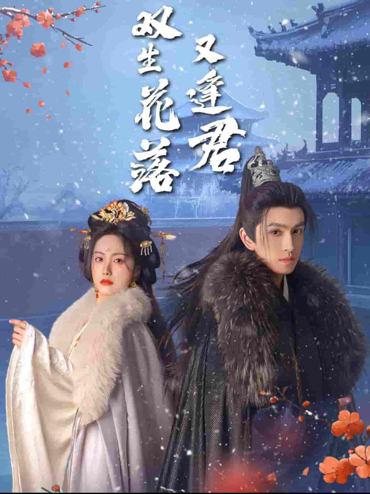 双生花落又逢君海报