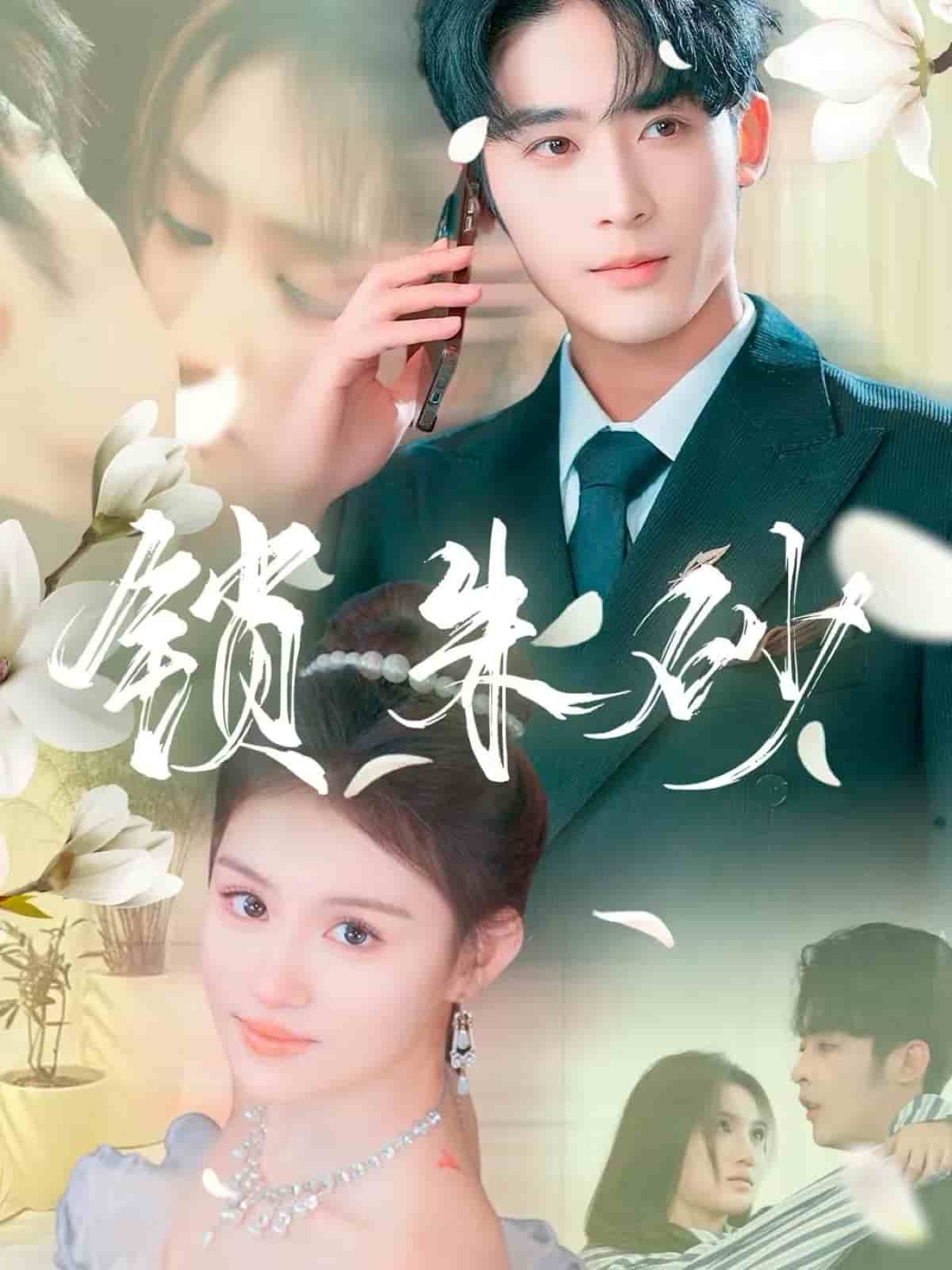 在火焰尽头等你海报