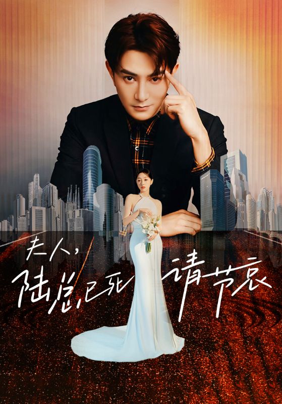 夫人，陆总已死请节哀海报