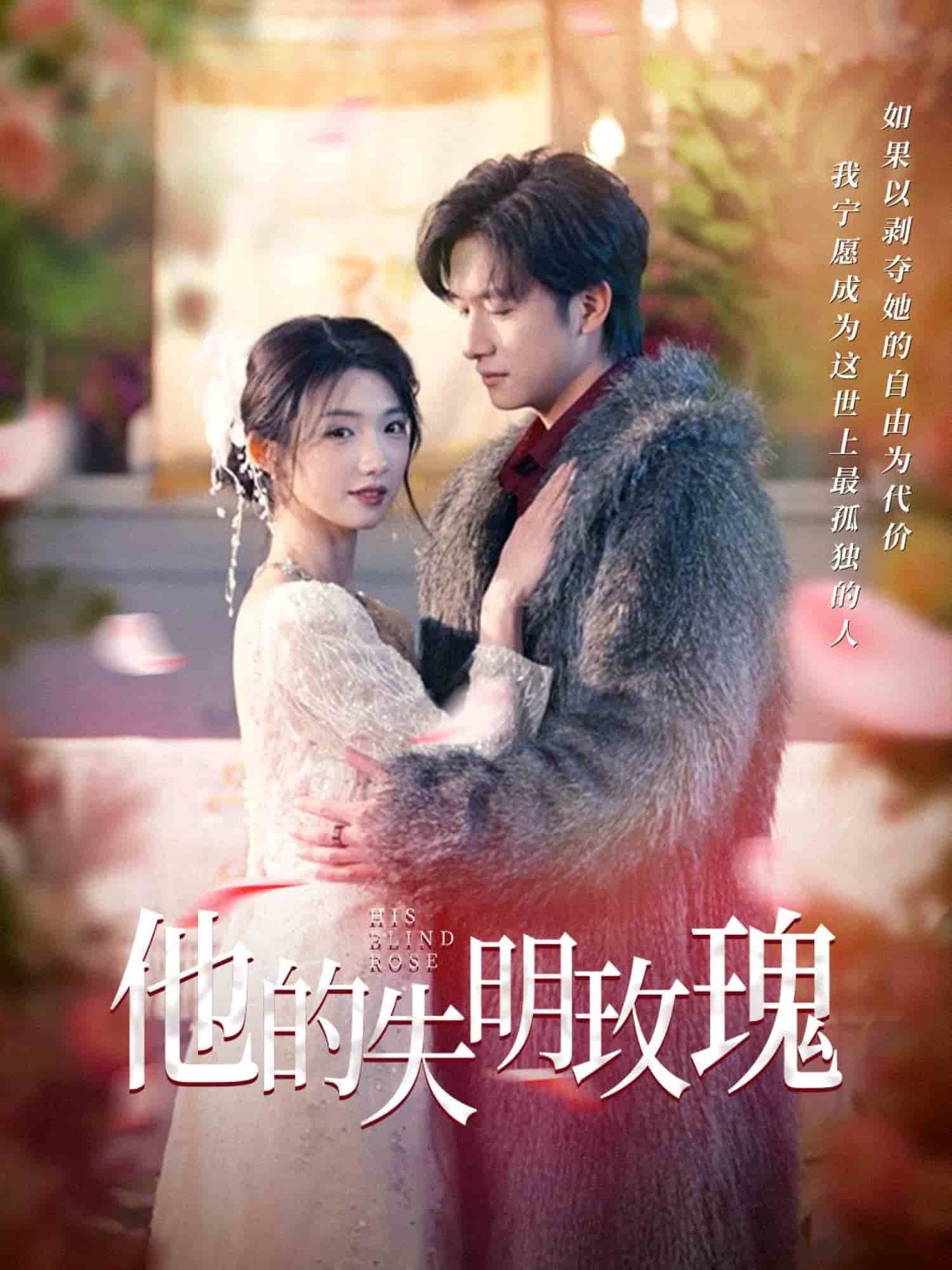 他的失明玫瑰海报