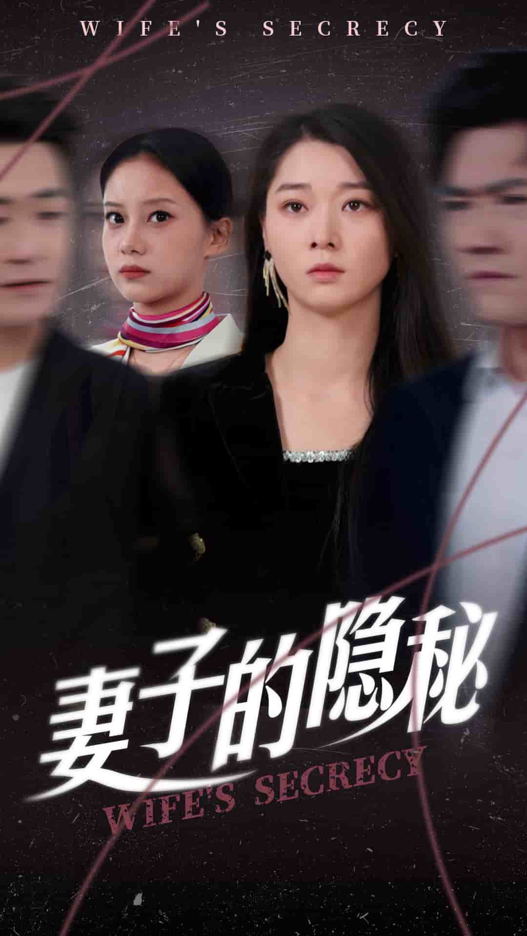 妻子的隐秘海报