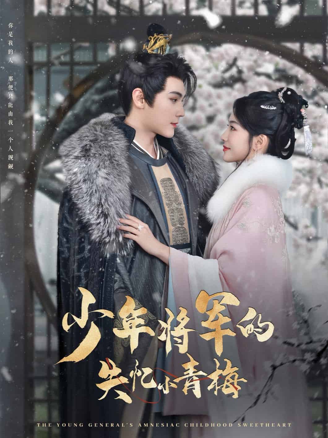 少年将军的失忆小青梅海报