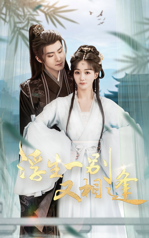 浮生一别又相逢海报