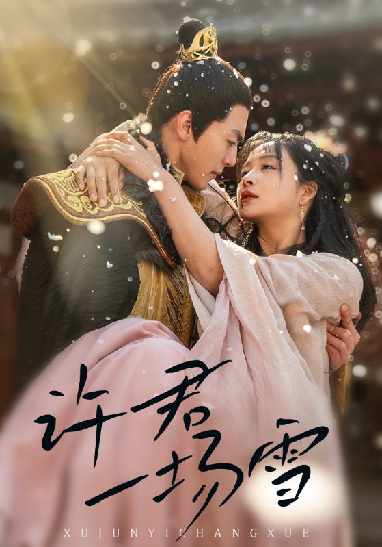 许君一场雪海报