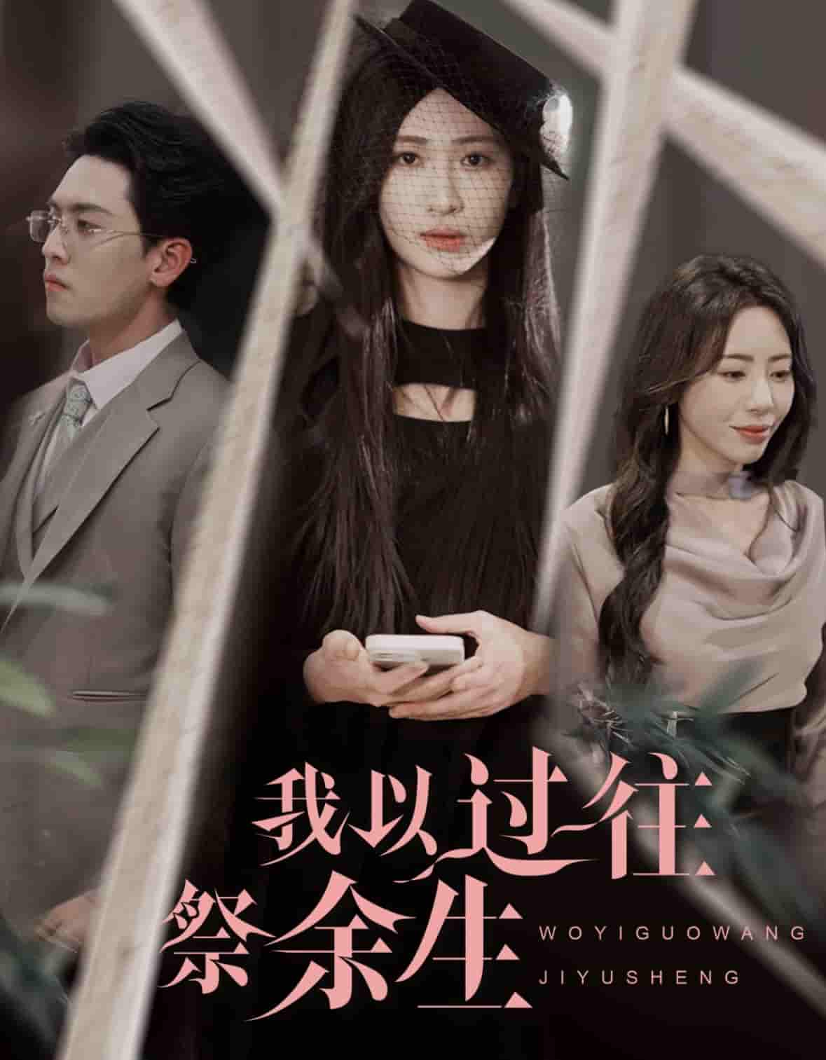 我以过往祭余生海报