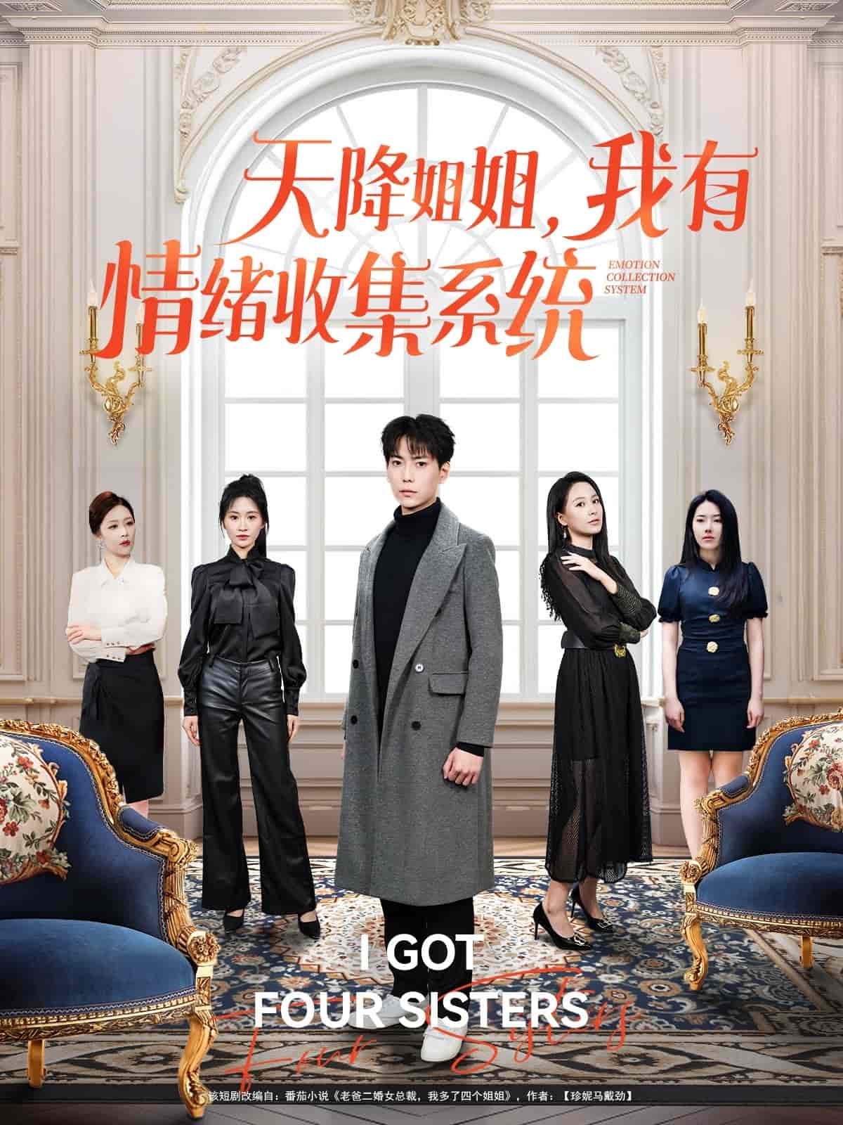 天降姐姐，我有情绪收集系统海报