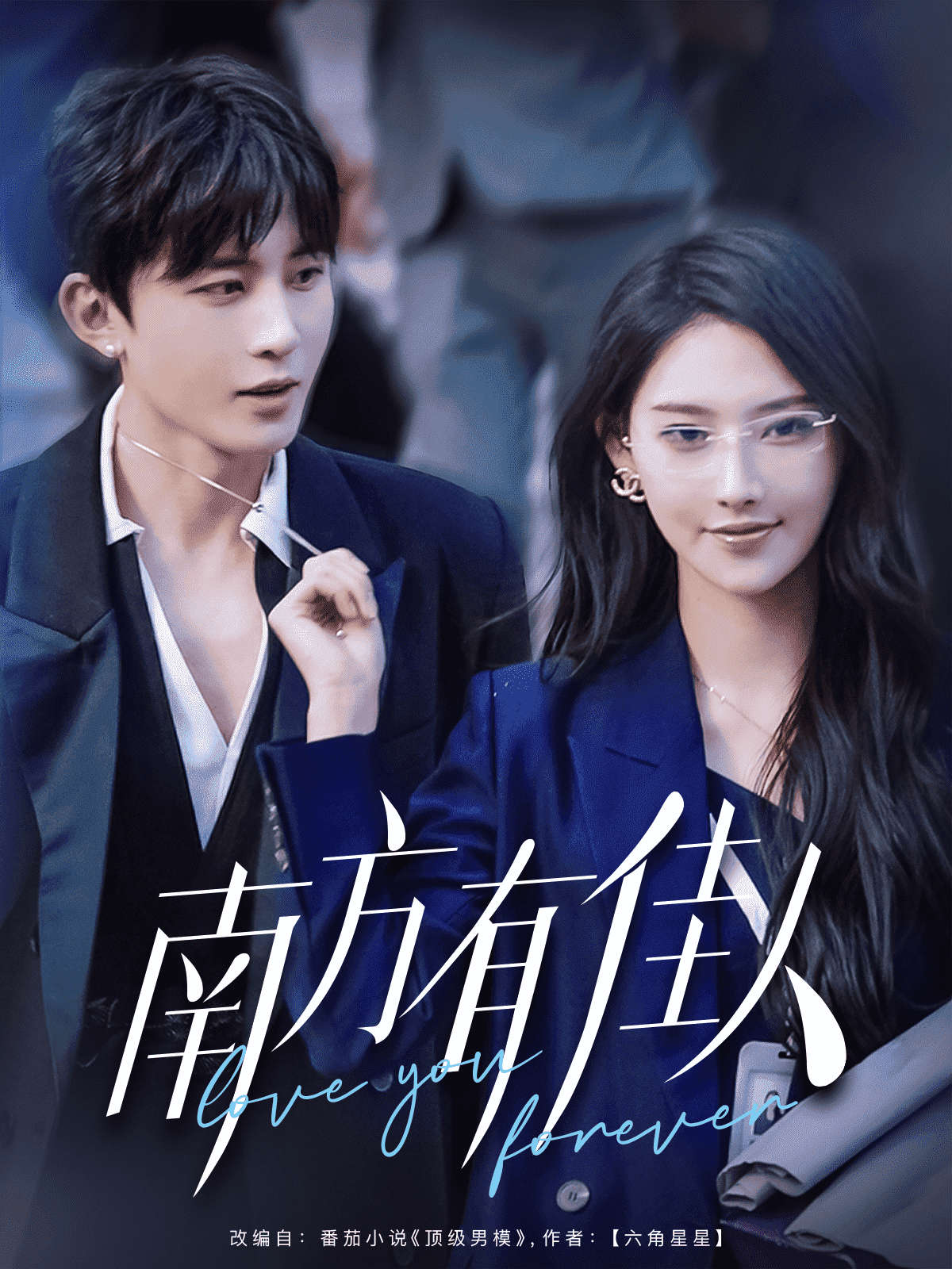 南方有佳人海报