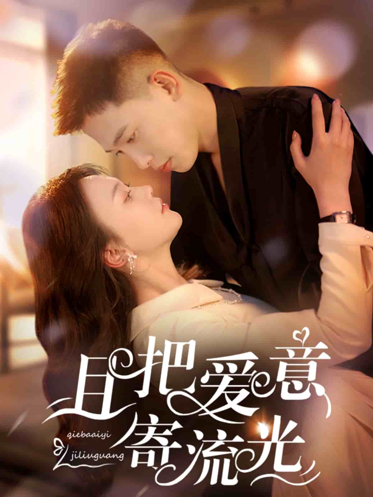 且把爱意寄流光海报