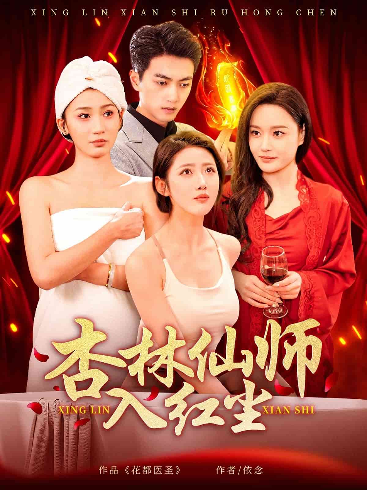 杏林仙师入红尘海报