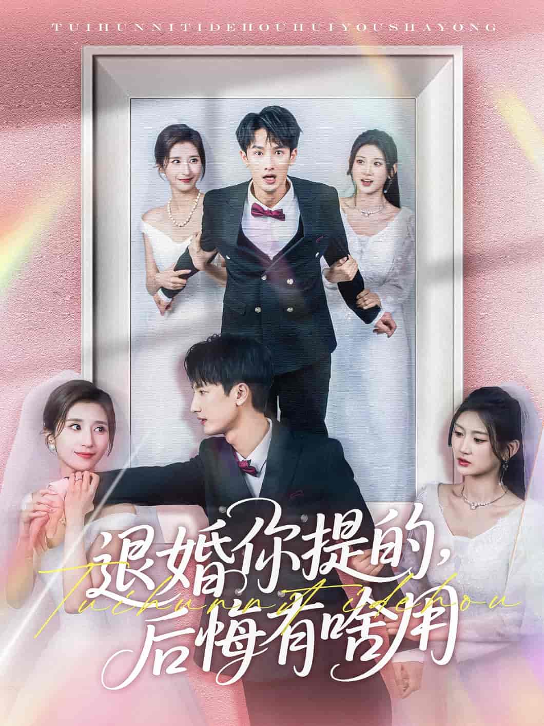 退婚你提的，后悔有啥用海报