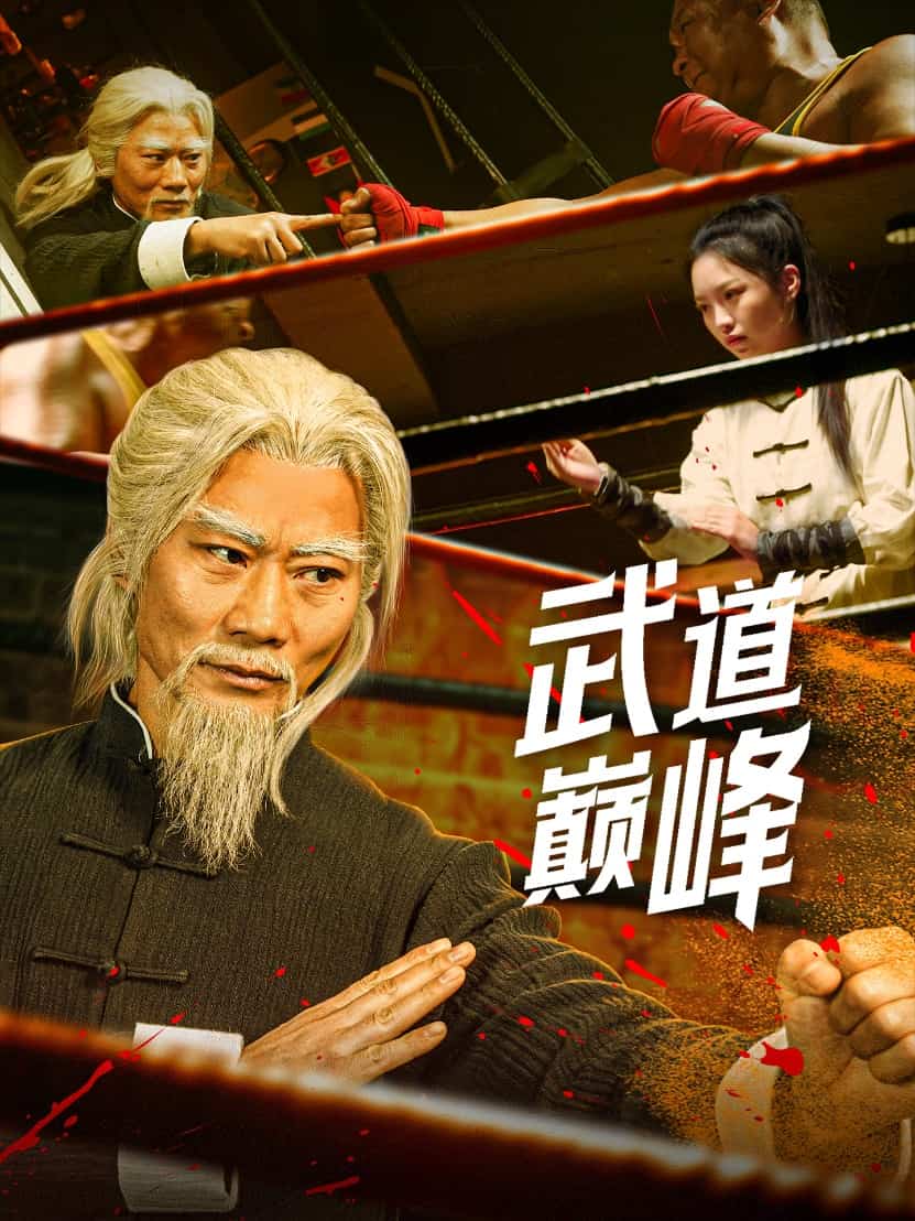 武道巅峰海报