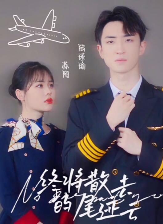 终将散去的尾迹云海报