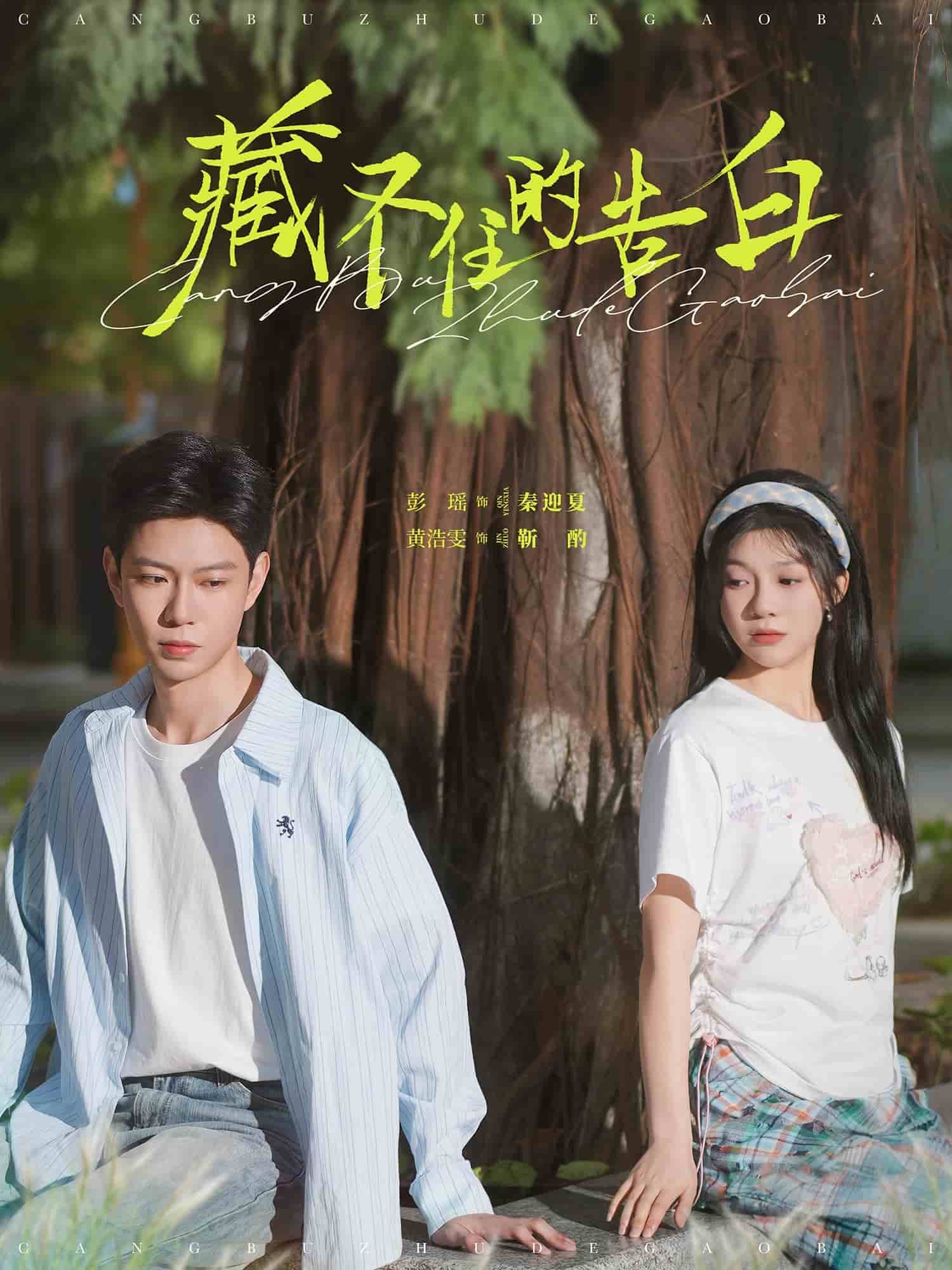 藏不住的告白海报