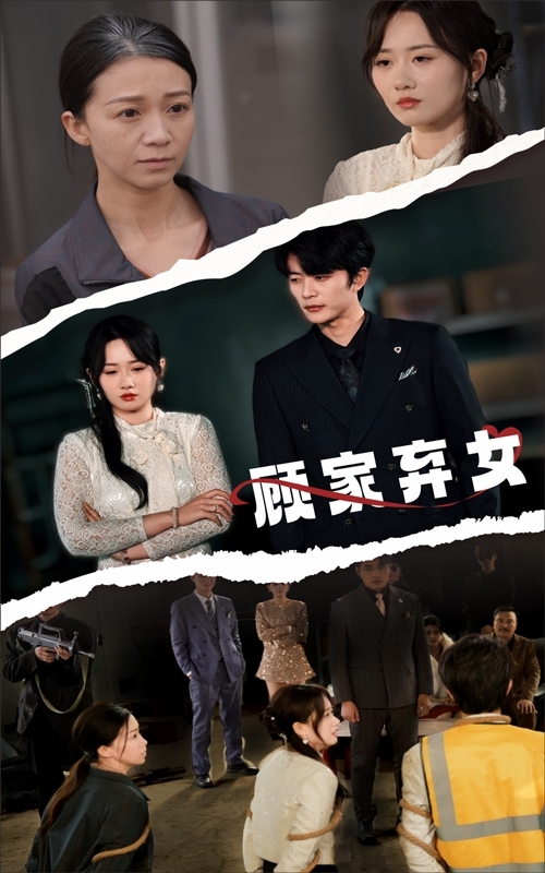 顾家弃女海报