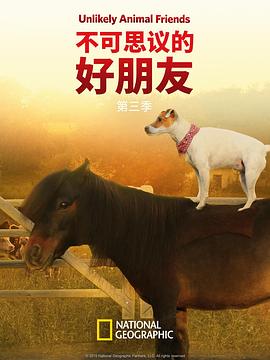 不可思议的好朋友第三季海报